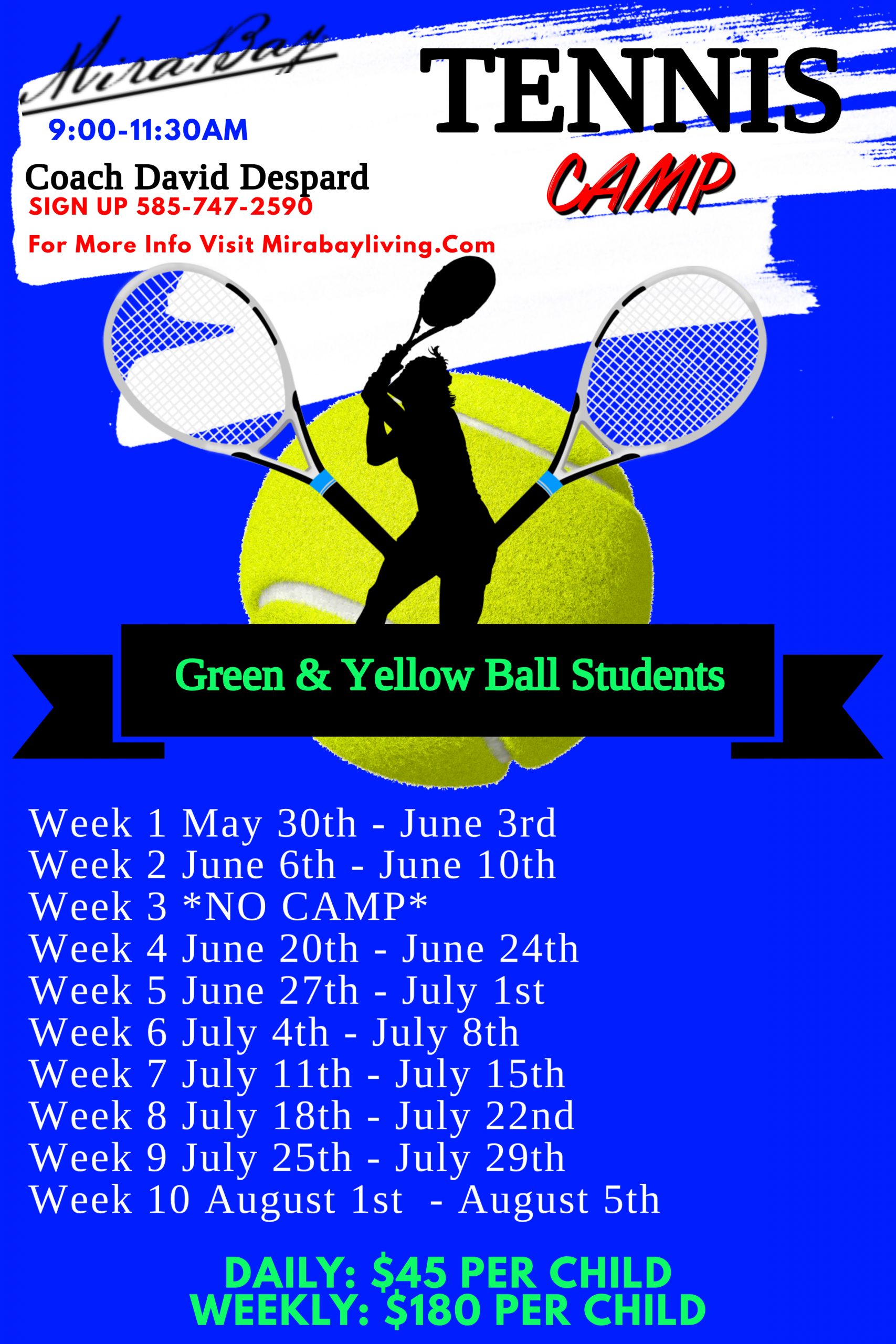 Green & Yellow Ball Summer Tennis Camp Mirabay Living